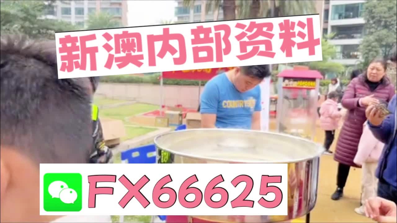 新奧2025資料大全最新版本，全面解析與深度洞察，新奧2025資料大全最新版，全面解析與深度洞察報(bào)告