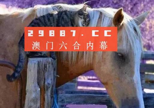 澳門一肖一碼一待一中四不像，探索與解析，澳門一肖一碼一待一中四不像，深度解析與探索