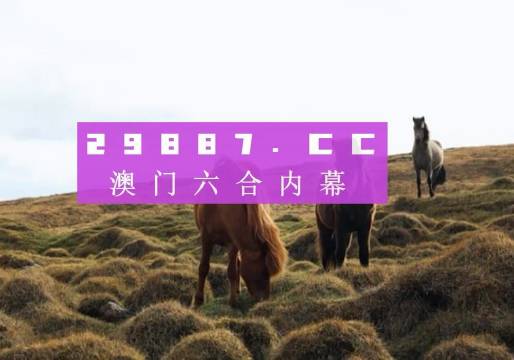 澳門今晚開獎什么，揭秘彩票背后的秘密與策略分析，澳門彩票開獎揭秘，策略分析與秘密探索