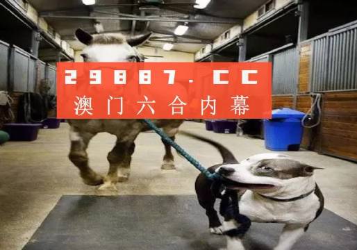 澳門一肖一碼一必中一肖，同舟前進(jìn)的奧秘與策略，澳門一肖一碼必中策略與前進(jìn)奧秘，同舟共濟(jì)的揭秘與策略