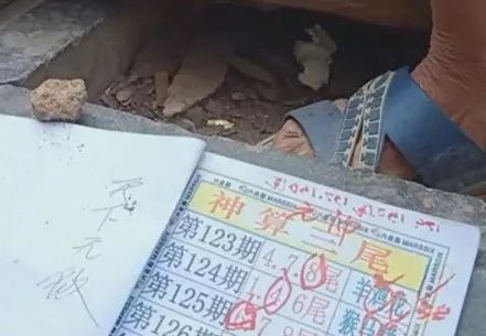 香港中特期期準(zhǔn)資料，深度解析與探索，香港中特期期準(zhǔn)資料深度解析與探索報(bào)告