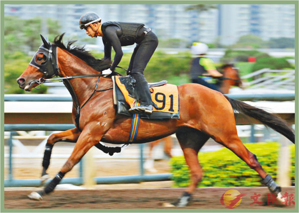 香港賽馬，探索數(shù)字背后的激情與榮耀，香港賽馬，數(shù)字背后的激情與榮耀之旅