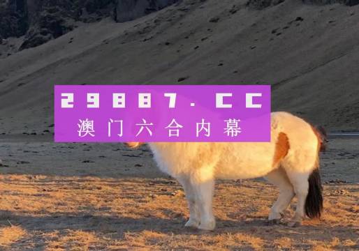 澳門天天彩資料正版免費(fèi)特色快8，探索彩票世界的魅力與機(jī)遇，澳門天天彩正版特色快8，彩票世界的魅力與機(jī)遇探索