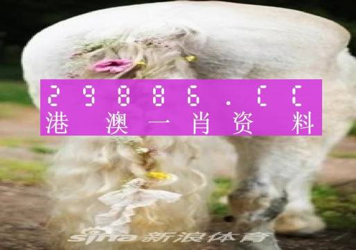 澳門羊了個(gè)羊與各大圖庫的資料揭秘，2023年澳門今晚必中一肖一碼永久免費(fèi)資料庫大解密，澳門羊了個(gè)羊與資料庫揭秘，2023年必中一肖一碼永久免費(fèi)資料大解密