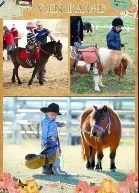 揭秘今晚澳門特馬開彩結果，四不像彩種深度解析，澳門特馬開彩結果揭秘，四不像彩種深度解析與預測