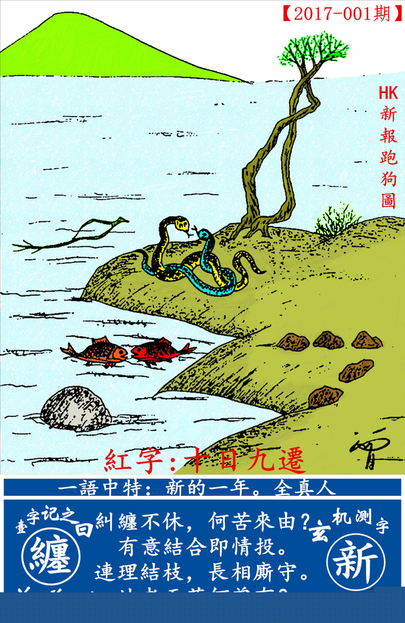 探索全新版跑狗圖，7777788888的魅力與策略，探索全新版跑狗圖，7777788888的魅力與攻略解析