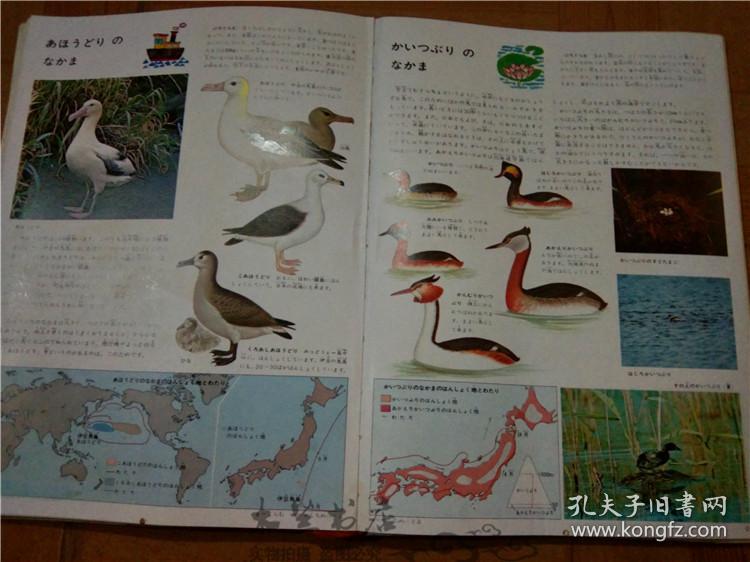 今日正版跑狗圖分享，探索7777788888跑狗圖的魅力，今日正版跑狗圖分享，探索魅力十足的777778跑狗圖