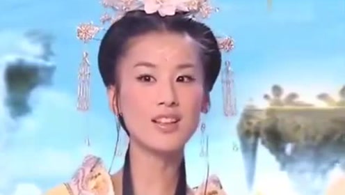 曾道道人資料免費大全，深度探索與解析，曾道道人資料深度解析與免費大全探索