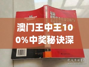 新澳門王中王期期中，探索與解析，新澳門王中王期期中，深度探索與解析