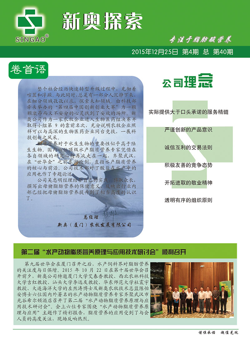 2025新澳正版資料查詢指南，2025新澳正版資料查詢手冊(cè)
