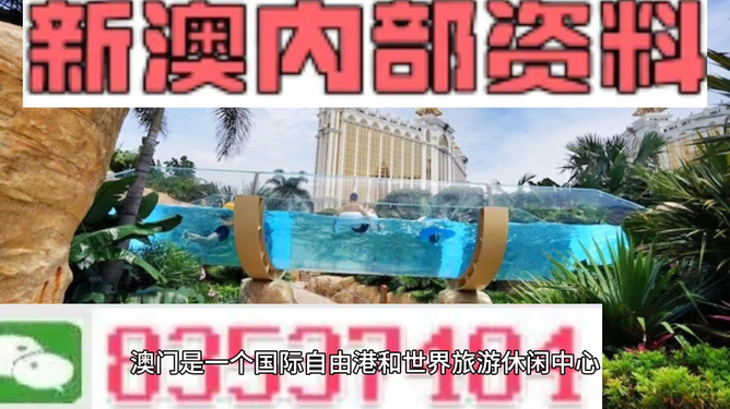 新澳的資料去哪里找——全面指南，新澳資料全攻略，尋找資料的途徑與指南