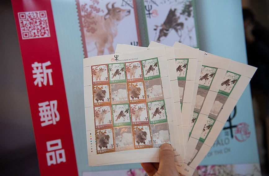 澳門(mén)值日生肖600圖庫(kù)與八百圖庫(kù)開(kāi)獎(jiǎng)，探索生肖圖庫(kù)的魅力與奧秘，澳門(mén)生肖圖庫(kù)開(kāi)獎(jiǎng)揭秘，探索值日生肖600圖庫(kù)與八百圖庫(kù)的魅力與奧秘