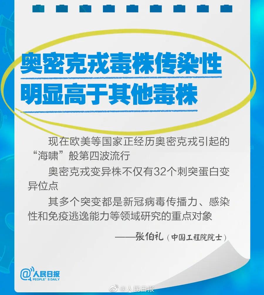 新奧2025最新資料大全，準確資料全面解析，新奧2025最新資料大全，全面解析準確資料一網打盡