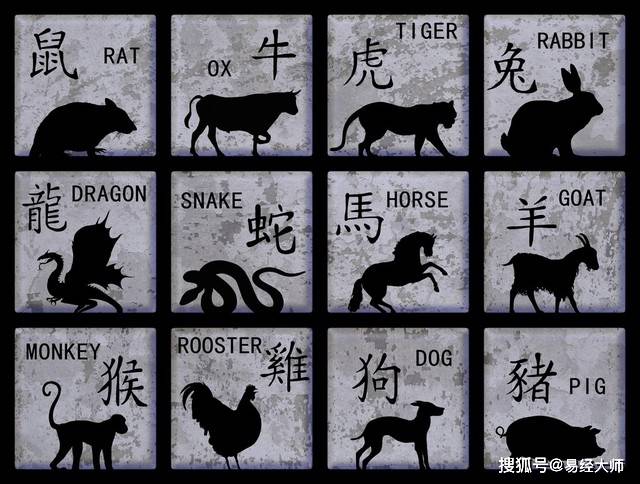 新澳特碼，羊?；⒏鲾?shù)10的獨(dú)特魅力與解析，新澳特碼，羊?；⒏鲾?shù)10的獨(dú)特魅力深度解析
