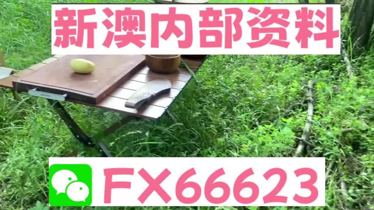 新奧特碼走勢圖解析與預(yù)測，新奧特碼走勢圖解析與預(yù)測，未來趨勢探討