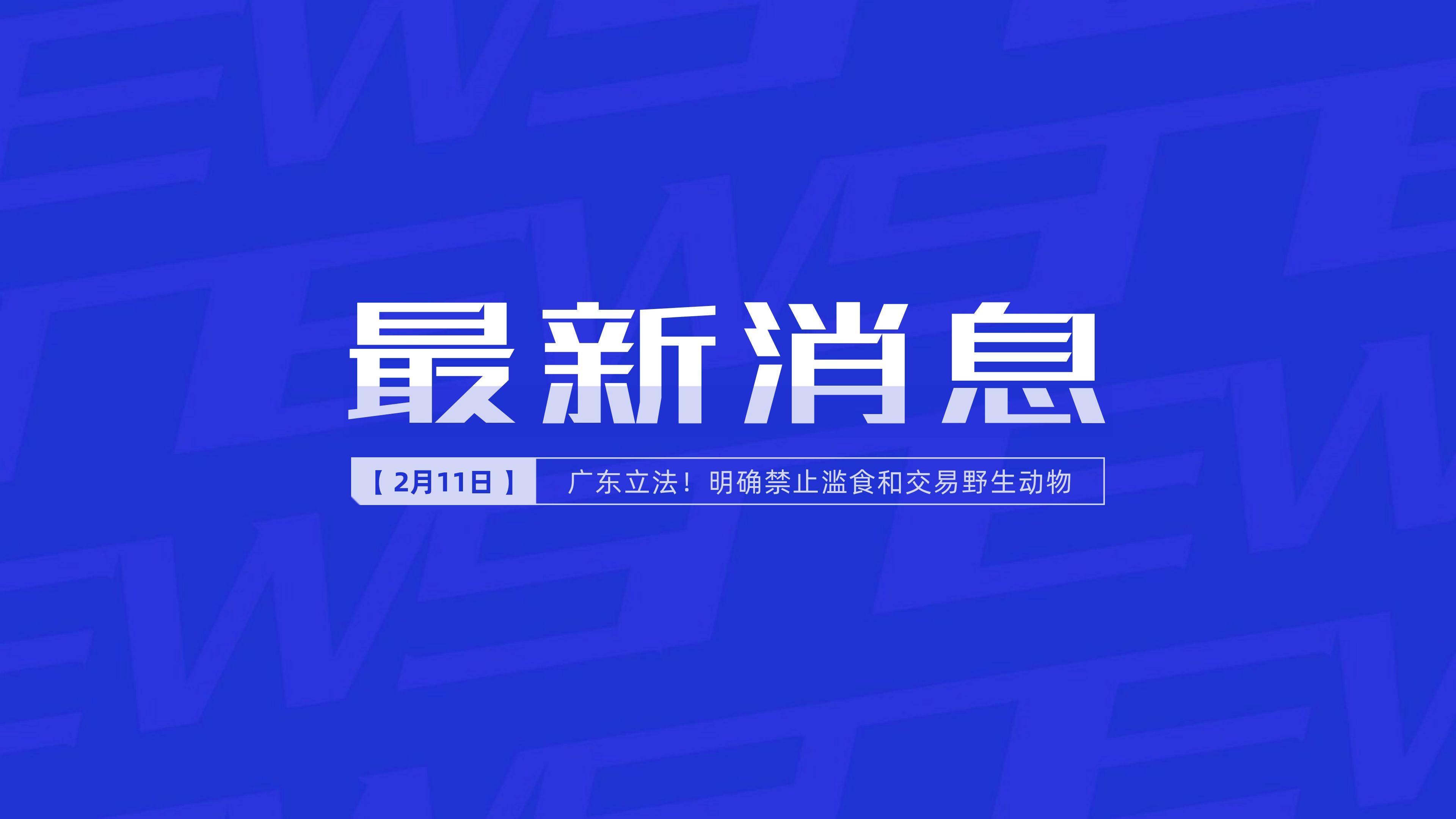 新聞最新新聞，掌握時事熱點，洞悉世界動態(tài)，時事熱點速遞，掌握全球最新動態(tài)新聞