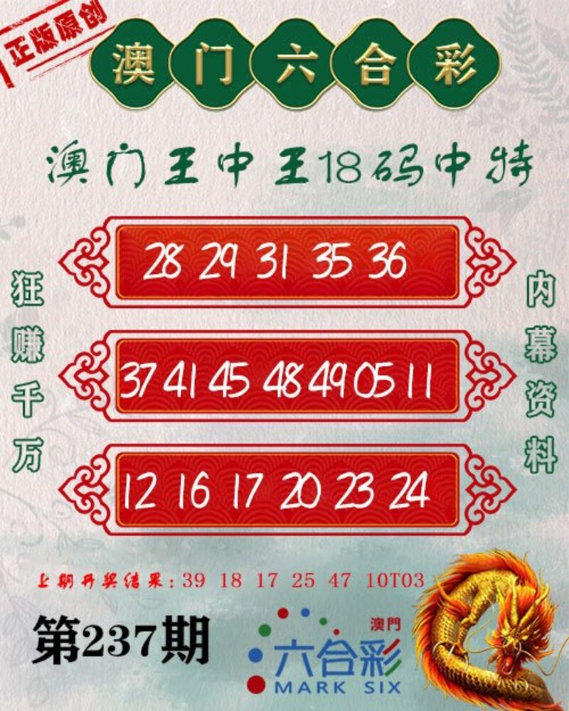 新澳門王中王期期中，探索與解析，新澳門王中王期期中，深度探索與解析