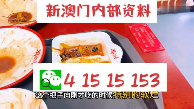 澳門王中王六碼新澳門，探索與解析，澳門王中王六碼新澳門，深度探索與解析