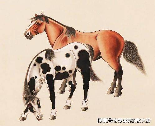 香港四不像一肖生肖圖，揭秘背后的神秘文化，香港四不像一肖生肖圖，神秘文化背后的揭秘
