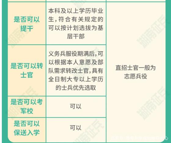 士官直招與義務(wù)兵的區(qū)別，深入了解軍隊(duì)招募制度，直招士官與義務(wù)兵招募制度深度解析，軍隊(duì)招募制度詳解