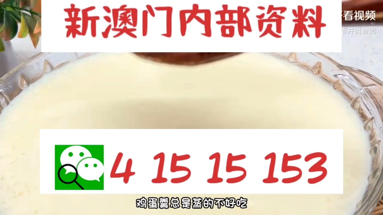 新澳門中特網(wǎng)中特馬，探索與解析，澳門中特馬探索與解析指南