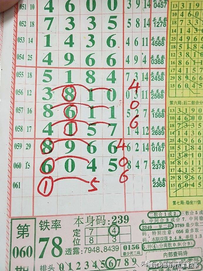 平特肖推算法，探索搜索引擎優(yōu)化的新境界，平特肖推算法，開(kāi)啟搜索引擎優(yōu)化新境界的探索之旅