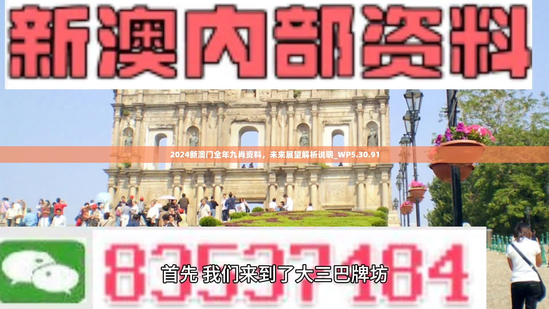 新澳門精準九肖，揭秘預測技巧與策略，揭秘新澳門精準九肖預測技巧與策略