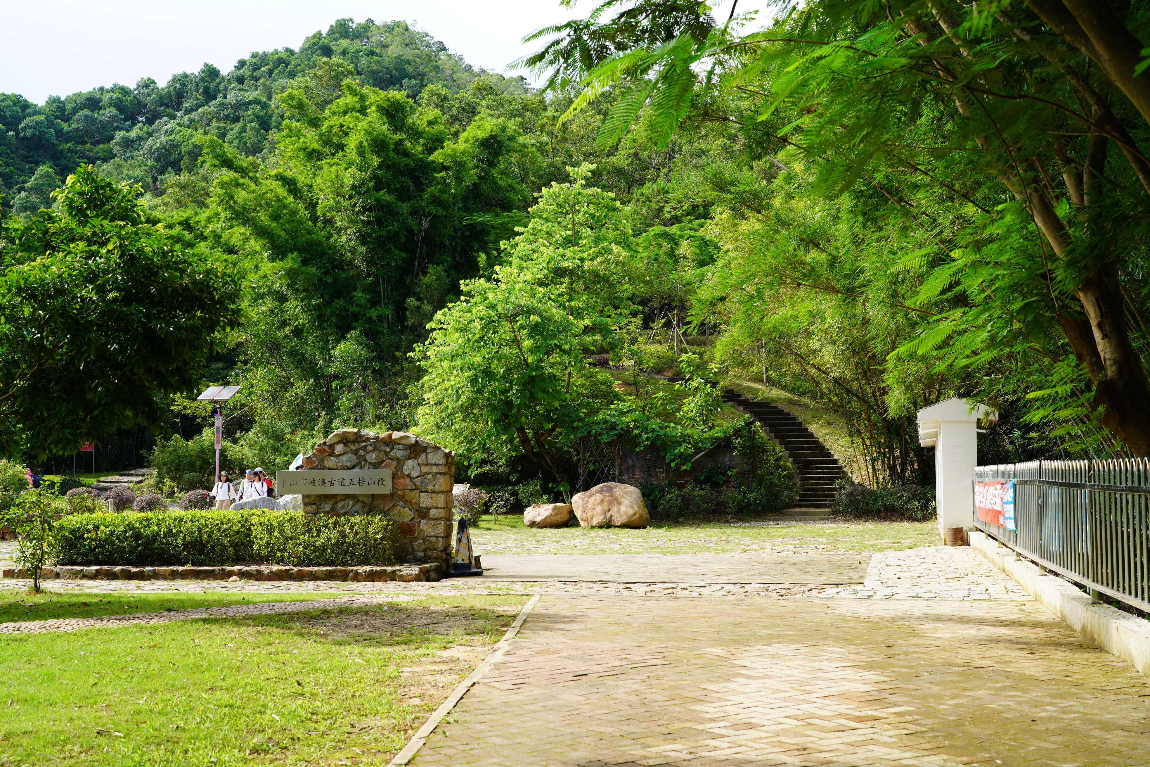 新澳門波色走勢(shì)圖表大全，深度解析與預(yù)測(cè)，澳門波色走勢(shì)圖表解析與預(yù)測(cè)大全