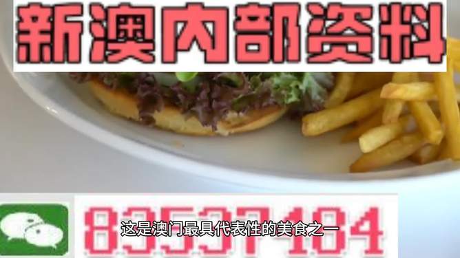 新澳2024生肖最新資料解析與預測，新澳2024生肖解析與預測報告