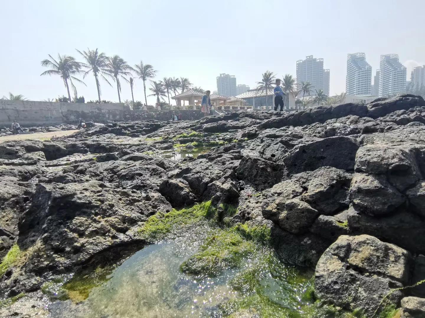 解放海南島電視劇全集下載，探尋30集完整劇情，解放海南島電視劇全集下載，探尋完整的30集劇情探索