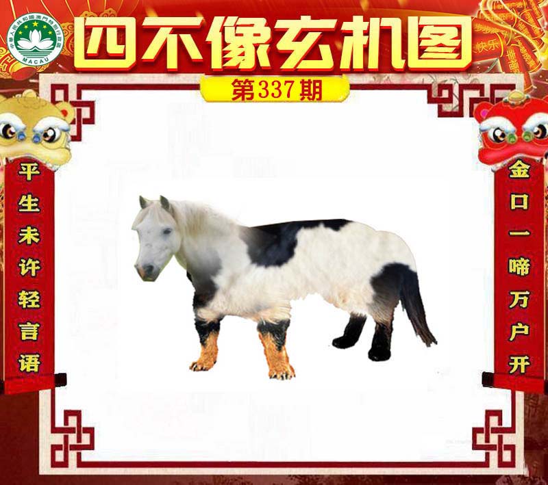 王中王四不像肖一肖中特，探索神秘現(xiàn)象背后的真相，神秘現(xiàn)象背后的真相探索，王中王四不像肖一肖中特揭秘