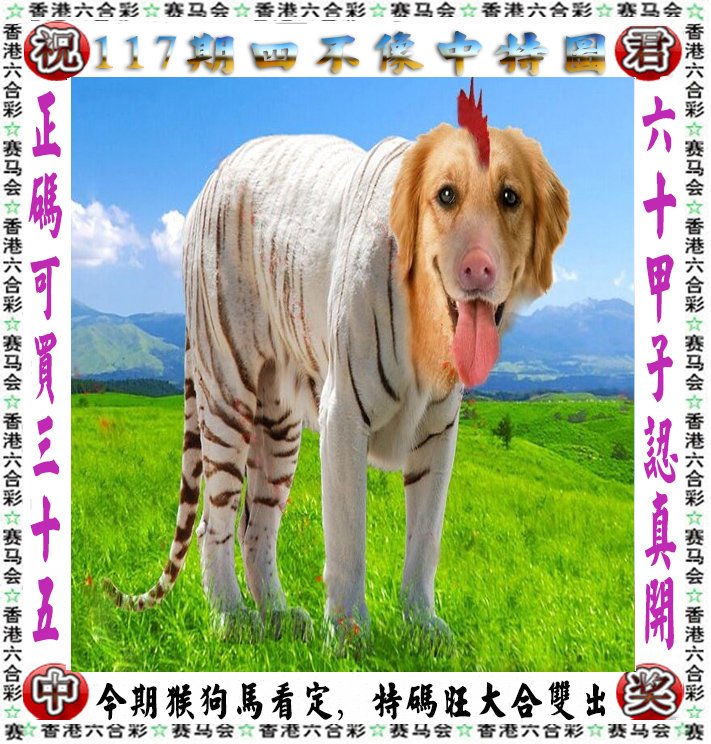 新聞咨詢(xún) 第62頁(yè)