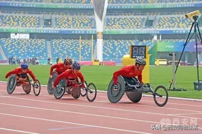 2025年澳門精準免費大全——全面解析澳門未來展望與特色體驗，澳門未來展望與特色體驗解析，澳門精準免費大全（2025版）