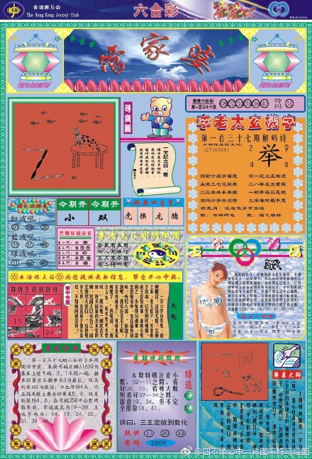王中王四不像必出一肖圖——揭秘彩票背后的秘密，揭秘彩票背后的秘密，王中王四不像必出一肖圖的真相探索