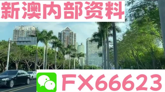 新澳資料哪里看，全面指南與資源匯總，新澳資料全面指南與資源匯總查看攻略