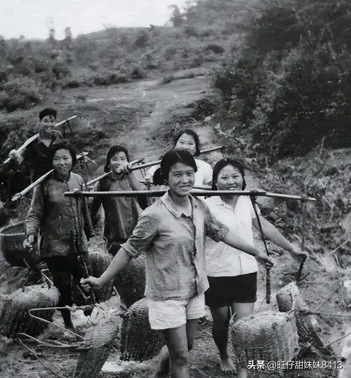 關(guān)于49圖庫(kù)圖片資料的專業(yè)解析與探索，49圖庫(kù)圖片資料深度解析與探索