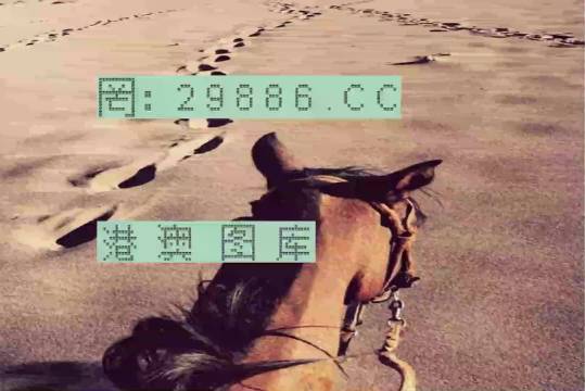 香港特馬資料王中王24期，深度解析與探索，香港特馬資料王中王深度解析與探索，第24期探索之旅