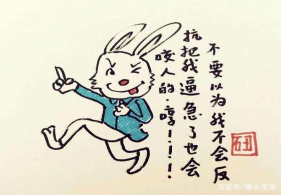 一肖不中賠多少倍，深度解析與策略建議，一肖不中賠倍深度解析及策略建議