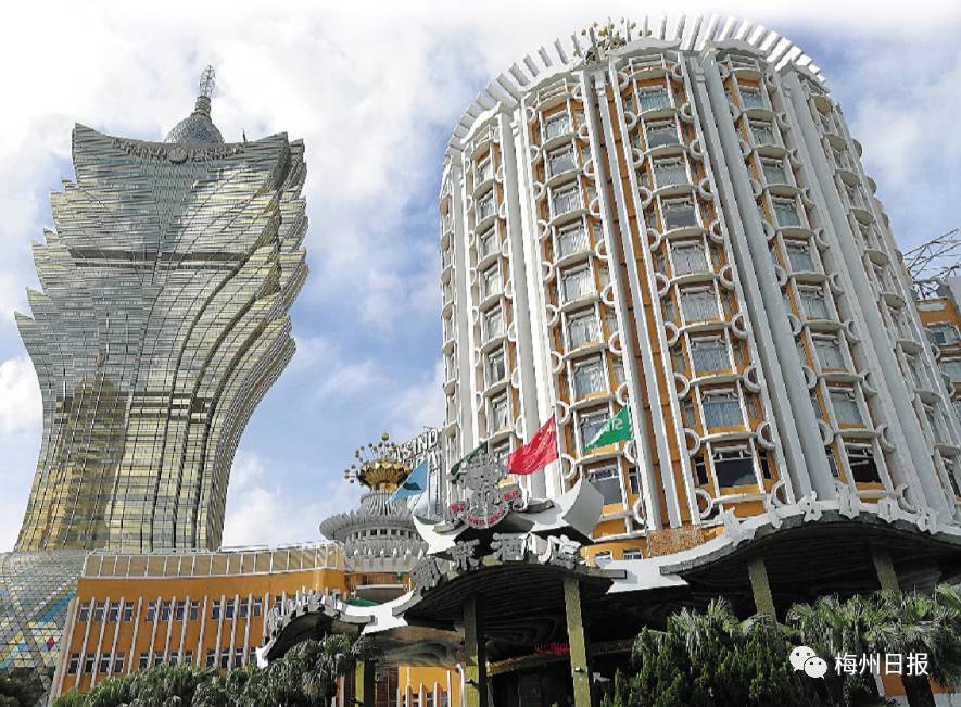 新澳門最精準——探索澳門的精準旅游體驗，澳門精準旅游探索，深度體驗澳門的獨特魅力