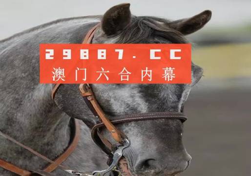 今晚澳門精準(zhǔn)一肖一馬預(yù)測，揭秘生肖與馬匹的神秘聯(lián)系，揭秘生肖與馬匹的神秘聯(lián)系，澳門精準(zhǔn)一肖一馬預(yù)測今晚揭曉