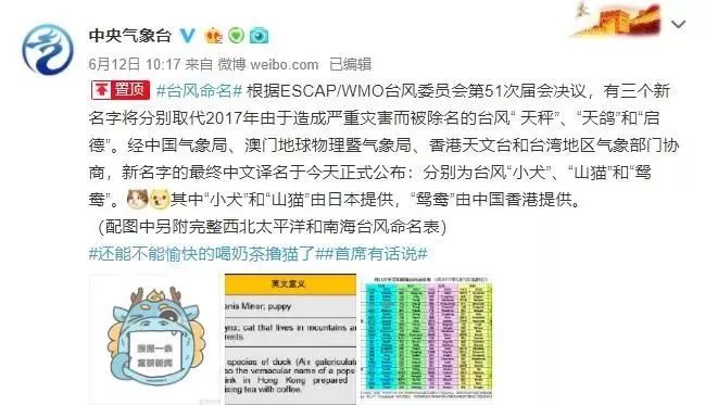 新澳門必中三肖三碼三期必開劉伯，揭秘彩票背后的秘密與策略，揭秘彩票背后的秘密與策略，劉伯的新澳門三期必開三肖三碼預(yù)測技巧