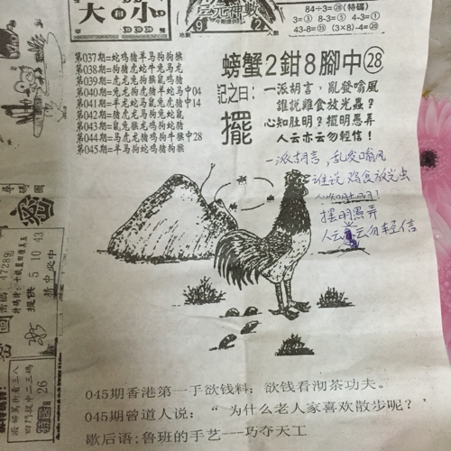 揭秘林中的高手王中王猜一肖的奧秘，揭秘林中之王王中王與生肖奧秘探秘