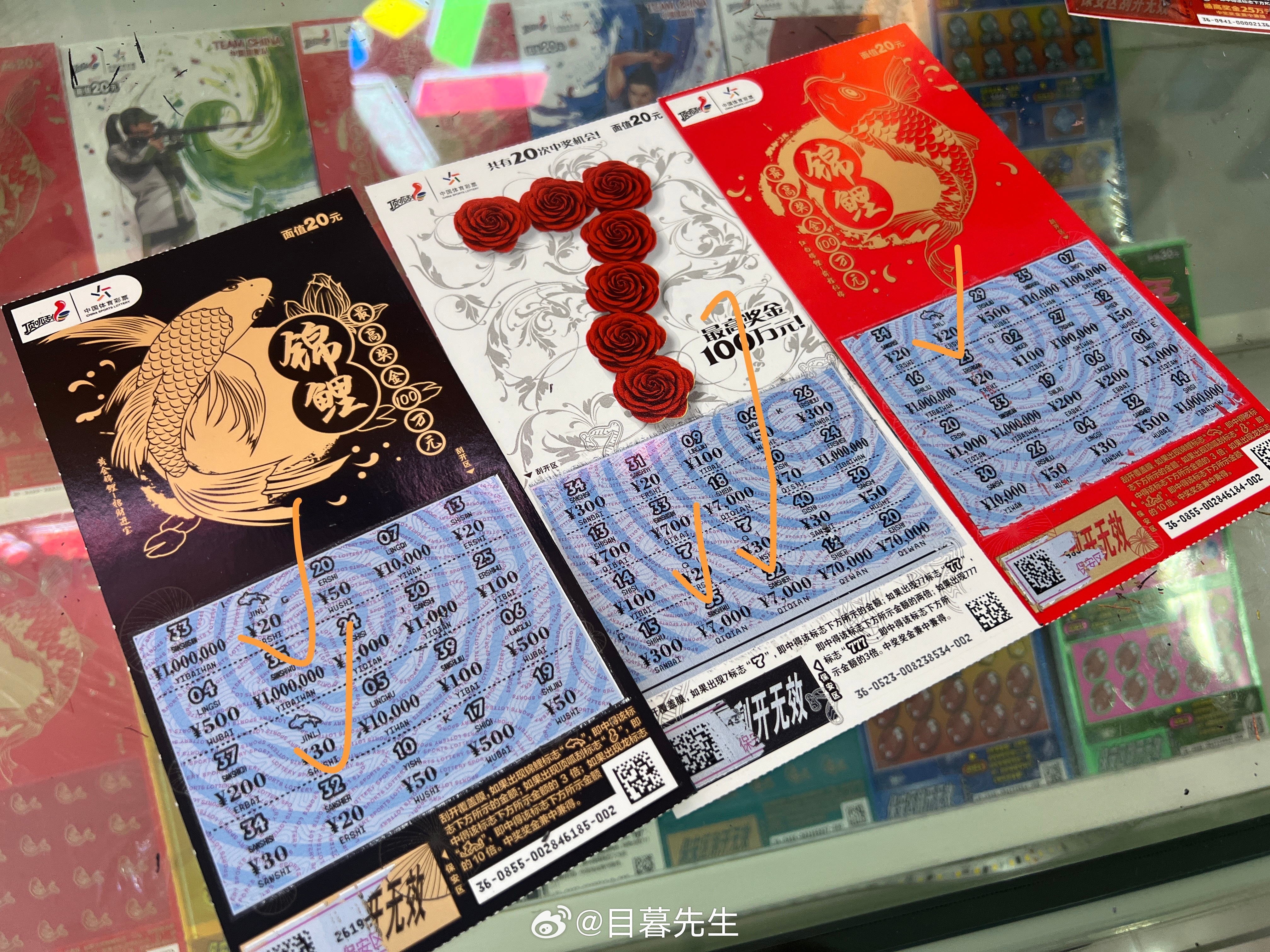 全年王中王一肖中特，深度解析與預(yù)測，全年王中王一肖深度解析與預(yù)測，揭秘特肖趨勢