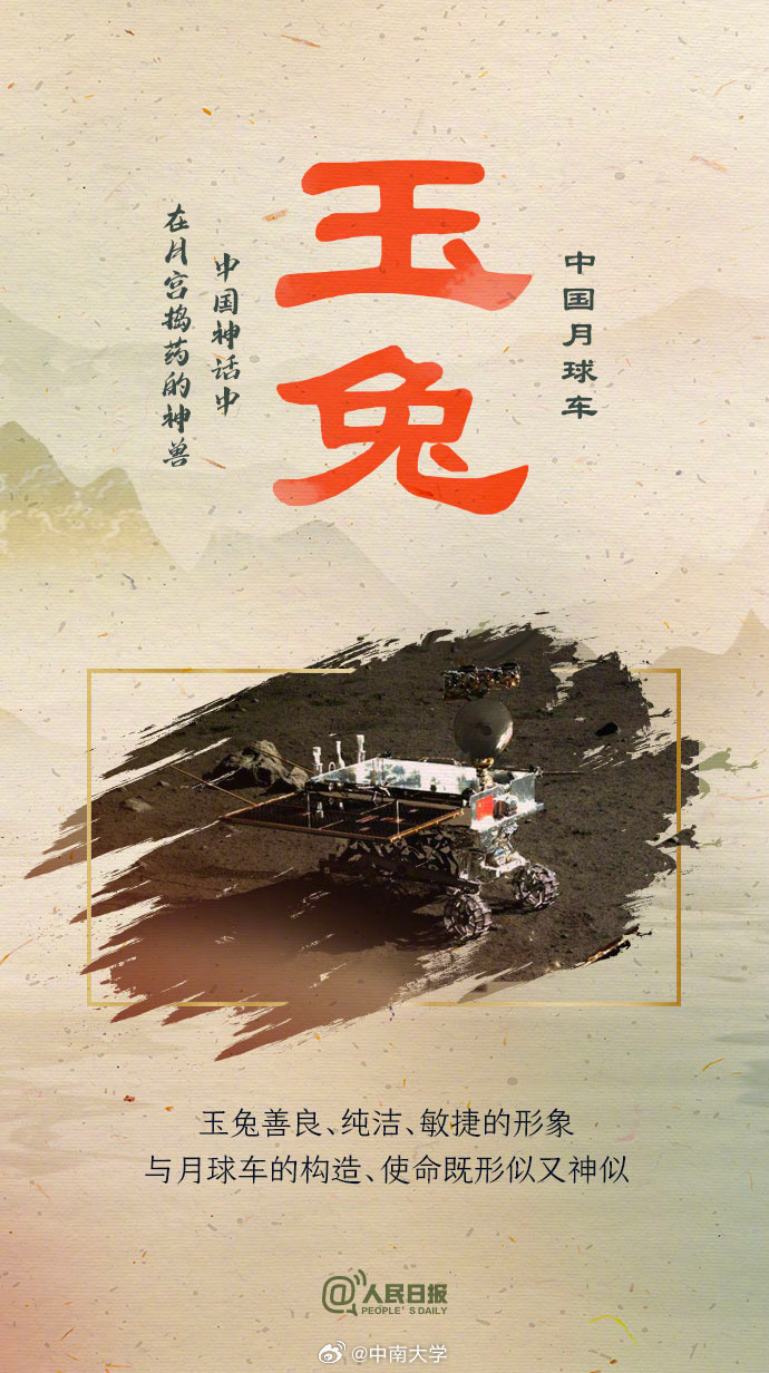揭秘王中王平特一肖免會公開的奧秘，王中王平特一肖免公開揭秘奧秘
