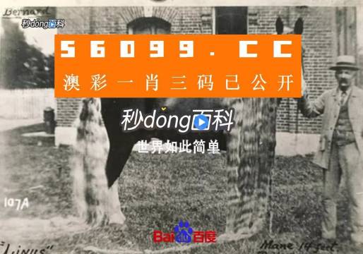 澳門王中王心水王中王，探索與解析，澳門王中王心水奧秘，深度探索與解析