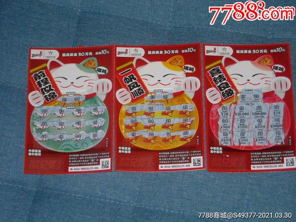 揭秘王中王資料一肖中特y招財貓，真相與秘密，揭秘王中王資料與招財貓，真相與秘密探索