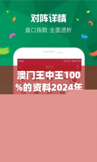 王中王網(wǎng)站一肖，探索與SEO優(yōu)化策略，王中王網(wǎng)站一肖，深度探索與SEO優(yōu)化策略實(shí)踐