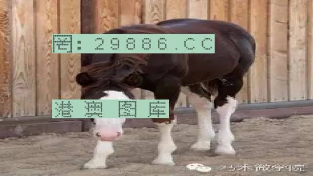 揭秘446999一肖中特馬之秘密，掌握中獎玄機！，揭秘特馬中獎玄機，446999一肖中的秘密大揭秘！