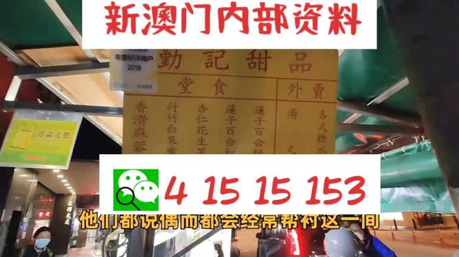 新澳門單雙肖期期，探索與解析，澳門單雙肖期期探索與解析指南