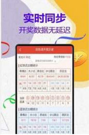 揭秘周天師平特一肖與王中王的神秘關(guān)聯(lián)，周天師平特一肖與王中王的神秘紐帶揭秘